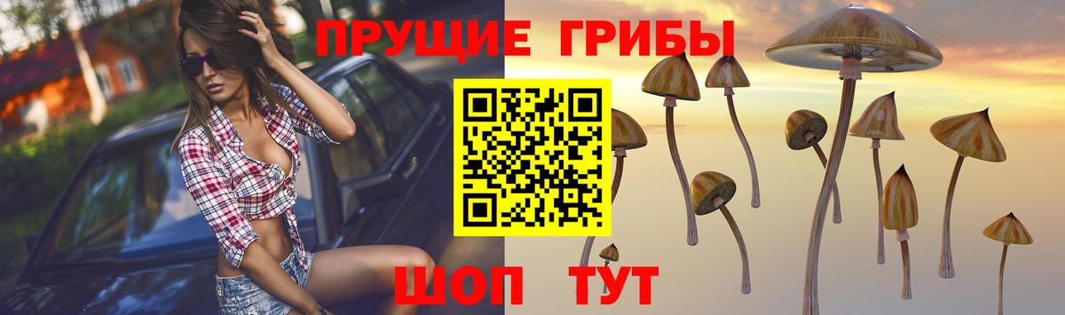 Гусиноозёрск  Галлюциногенные грибы мухоморы  Вход с VPN 